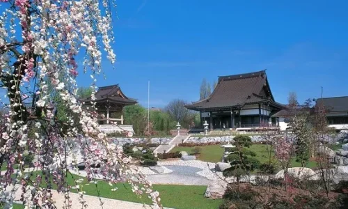 Japanese Community