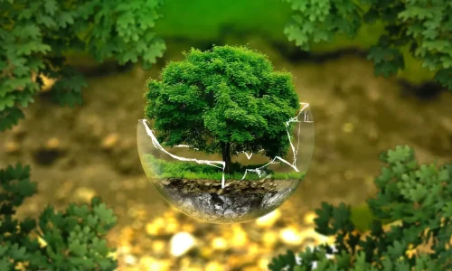 Sustainability and Green Living