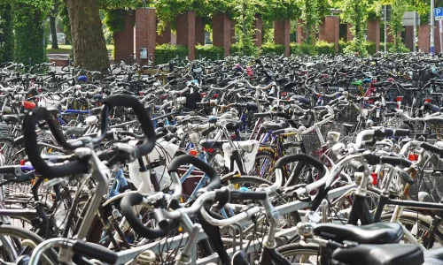 Interesting facts about Muenster