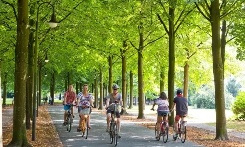 Popular places in the city