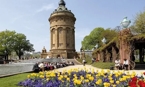 Diverse Population Mannheim