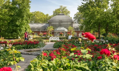 Palmengarten (2) Palmengarten Frankfurt