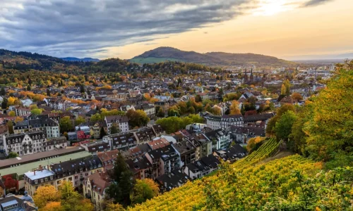 Sustainable (2) Sustainable and Green Practices